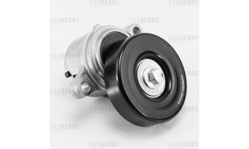 Натяжитель поликлин.ремня с роликом Carberry, арт. 55CA218