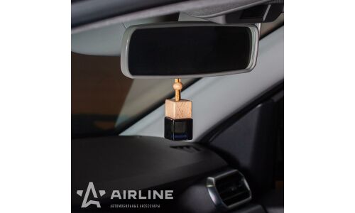 Ароматизатор подвесной Airline «Куб Perfume» Follow Me, жидкий, 6мл, арт. AFBU241