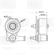 Ролик натяжной ГРМ Trialli, арт. CM 6181