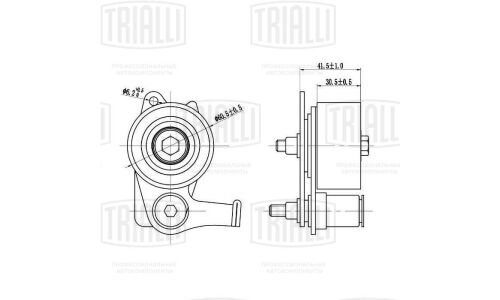 Ролик натяжной ГРМ Trialli, арт. CM 6181