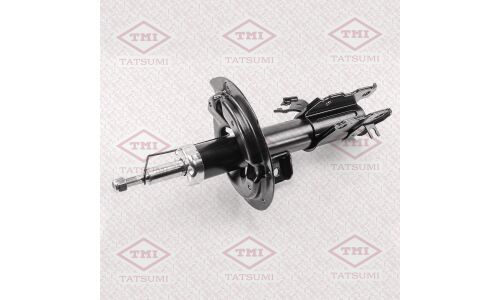 Амортизационная стойка TATSUMI газомасляная двухтрубная, передняя, правая, 1 шт, арт. TAA2065R