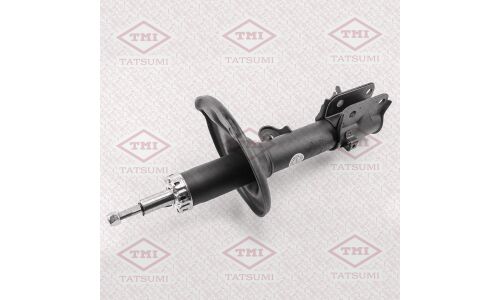 Амортизационная стойка TATSUMI газомасляная двухтрубная, задняя, правая, 1 шт, арт. TAA6003R