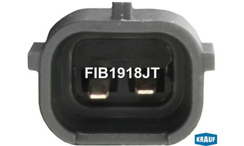Форсунка бензиновая Krauf, арт. FIB1918JT