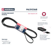 Ремень поликлиновой Marshall, арт. M6310368
