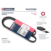Ремень поликлиновой Marshall, арт. M6310283