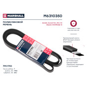 Ремень поликлиновой Marshall, арт. M6310350