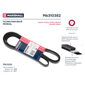 Ремень поликлиновой Marshall, арт. M6310352