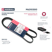 Ремень поликлиновой Marshall, арт. M6310300