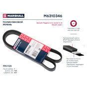 Ремень поликлиновой Marshall, арт. M6310346
