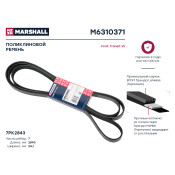 Ремень поликлиновой Marshall, арт. M6310371