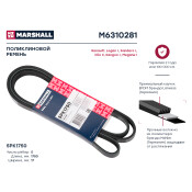 Ремень поликлиновой Marshall, арт. M6310281