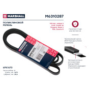 Ремень поликлиновой Marshall, арт. M6310287