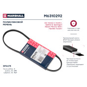 Ремень поликлиновой Marshall, арт. M6310292