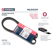 Ремень поликлиновой Marshall, арт. M6310319