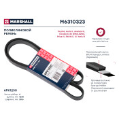 Ремень поликлиновой Marshall, арт. M6310323