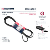 Ремень поликлиновой Marshall, арт. M6310339