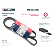 Ремень поликлиновой Marshall, арт. M6310348