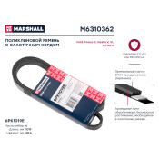 Ремень поликлиновой Marshall, арт. M6310362