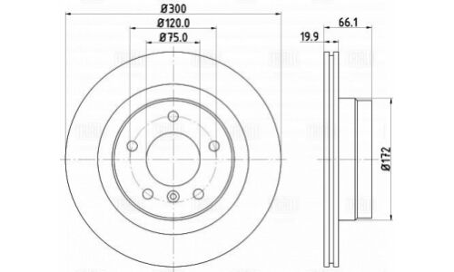 Диск тормозной Trialli, задний, правый/левый, для BMW 1-Series (E81) / 3-Series (E90), 1 шт, арт. DF 261005