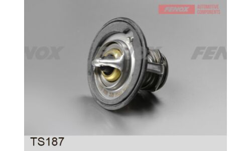 Термостат Fenox, арт. TS187