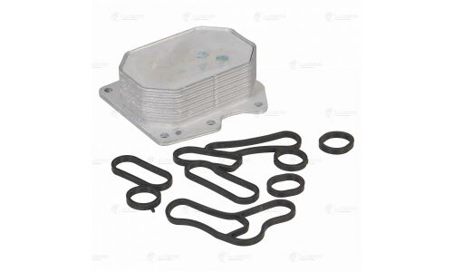 Радиатор масляный для а/м Ford Transit (06-)/(13-)/Peugeot Boxer (06-) 2.2TD (124*114.8*43мм) Luzar, арт. LOc 1001