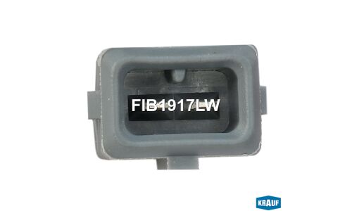 Форсунка бензиновая Krauf, арт. FIB1917LW