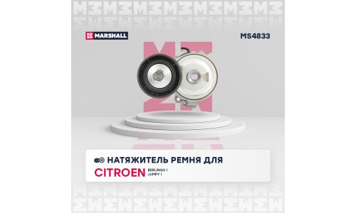 Натяжитель ремня навесного оборудования Marshall, арт. MS4833