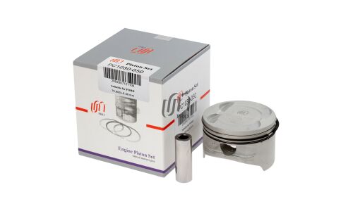 Поршень 0.50 с кольцами Ford Focus II 1.6 HWDA/SHDA d79.0+0.50 United Motors, арт. PC1030-050