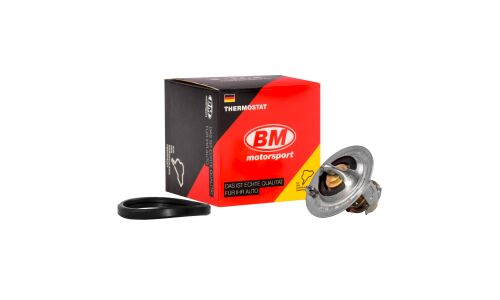 Термостат BM, арт. TT 4010