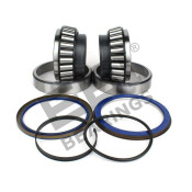 Подшипник ступицы колеса (комплект) HCV DJB, арт. EBH3403