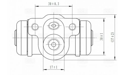 Рабочий тормозной цилиндр Trialli, задний, арт. CF 0552