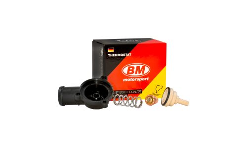 Термостат BM, арт. TT 4006