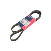 Ремень поликлиновой Marshall, арт. M6310419