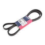 Ремень поликлиновой Marshall, арт. M6310449