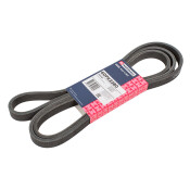 Ремень поликлиновой Marshall, арт. M6310451