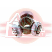 ТРИПОИД Asva, арт. ASTR-041