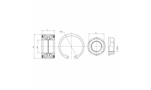 Подшипник ступицы для а/м Citroen C4 (10-) перед. (кмпл:подш./гайка/стоп.кол.) (CS 2082) | лев Trialli, арт. CS 2082
