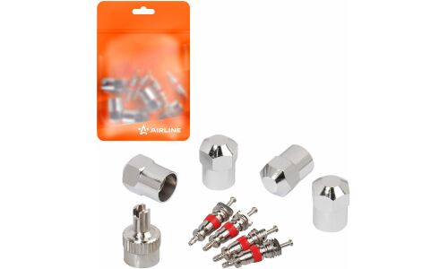 Ремкомплект для вентилей (4 золотника, 4 металл.колп, 1 ключ) в пакете AIRLINE, арт. ATRS012