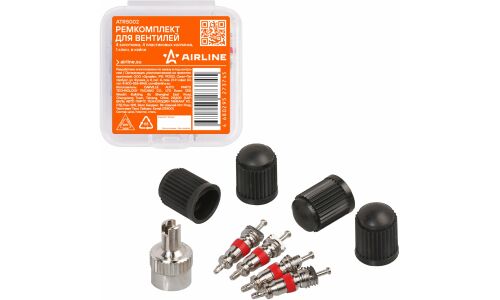 Ремкомплект для вентилей (4 золотника, 4 пласт.колп, 1 ключ) в кейсе AIRLINE, арт. ATRS002