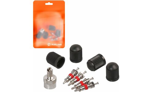 Ремкомплект для вентилей (4 золотника, 4 пласт.колп, 1 ключ) в пакете AIRLINE, арт. ATRS010