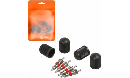 Ремкомплект для вентилей (4 золотника, 4 пласт.колп.) в пакете AIRLINE, арт. ATRS009