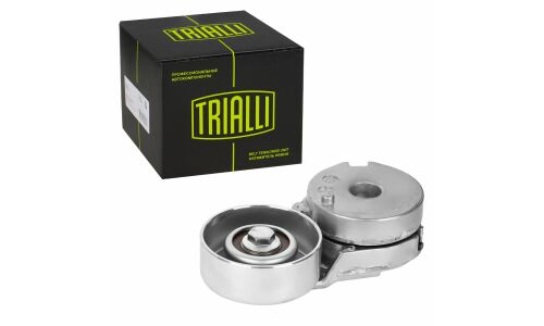 Ролик приводного ремня для автомобилей Nissan Qashqai (06-)/X-Trail (07-) 2.0i (с натяжным механизмом) (подшипник NSK/NTN) Trialli, арт. CM 1403N