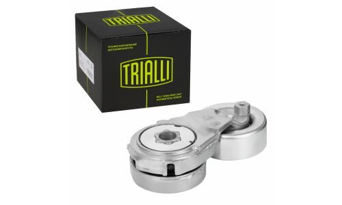 Ролик приводного ремня для автомобилей Nissan Qashqai (06-)/X-Trail (07-) 2.0i (с натяжным механизмом) (подшипник NSK/NTN) Trialli, арт. CM 1403N