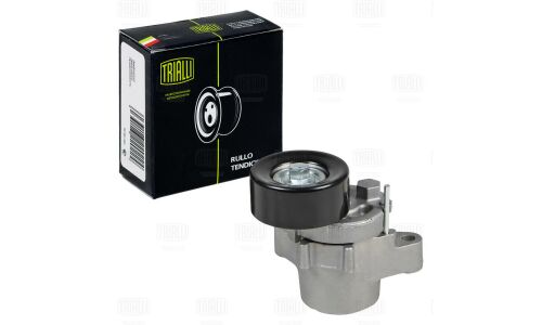 Натяжитель приводного ремня с роликом Trialli, арт. CM 5558N