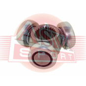 Трипоид 25x37 Asva, арт. ASTR-023