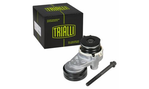 Натяжитель приводного ремня с роликом Trialli, арт. CM 0507N