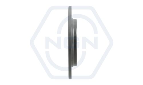 Диск тормозной термостойкий невентилируемый (262x10) | зад NGN, арт. 36-2371