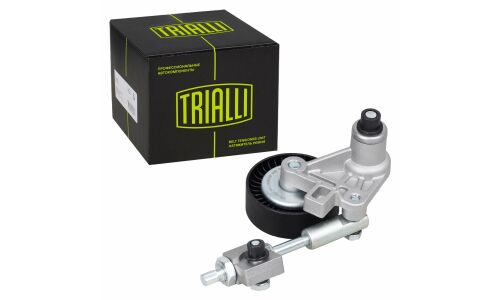 Ролик приводного ремня для автомобилей Лада 1118 (с натяжным механизмом) (подшипник NSK/NTN) Trialli, арт. CM 0118N