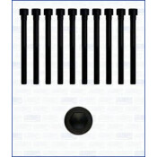 Комплект болтов ГБЦ Ajusa, арт. 81006200