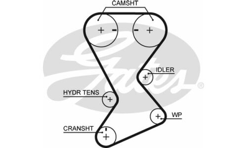 Ремень ГРМ Gates, арт. T246